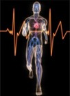 Quantify Your Way to Health and Longevity