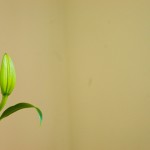 On Minimalism and Sustainability
