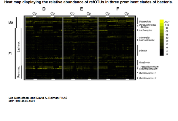 MicrobeHeatMap