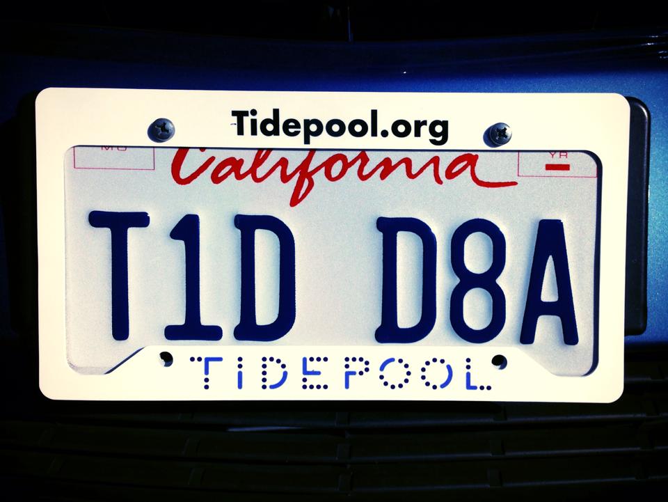 qs_access-tidepool-licenseplate