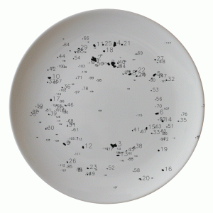 A plate from "Food-Data" by artist Tobias Zimmer
