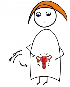 Ovulation Cartoon