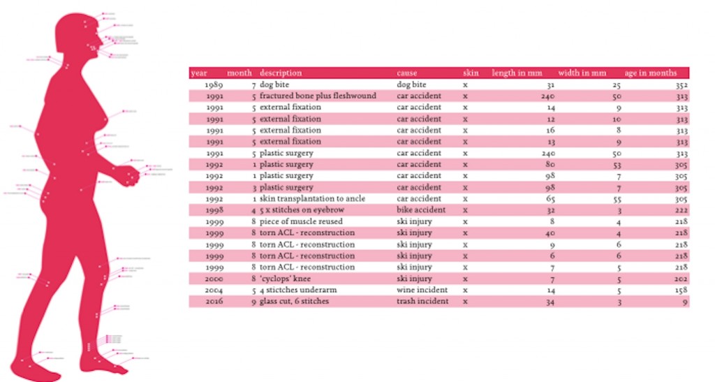 Ellis tracks the data on her scars which includes the date of the injury, size of the scar, impact of the scar, and healing time