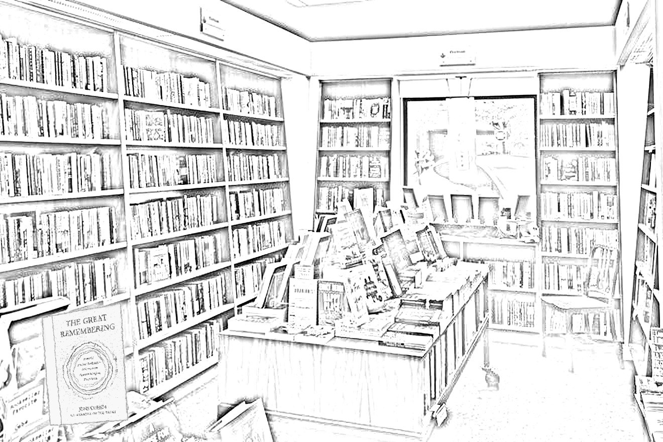 Line drawing of the bookshelves inside Warwick's, La Jolla